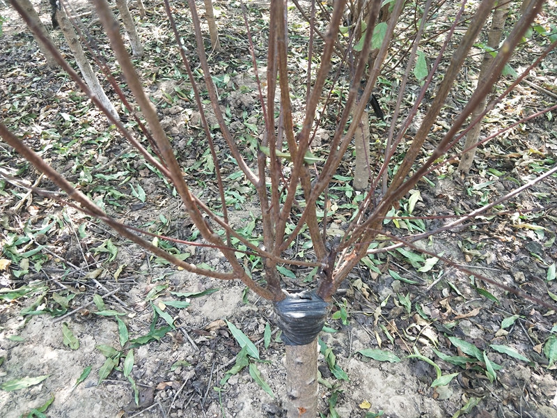IMG20181019130121.jpg