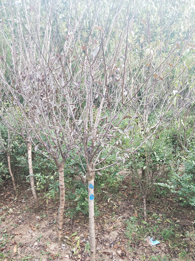 IMG20181009164757.jpg