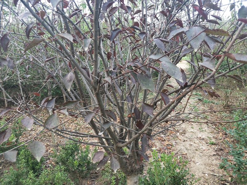 IMG20181009164826.jpg