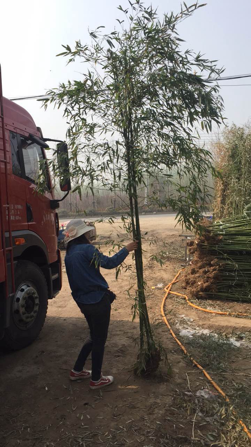 微信图片_2018092112111318.jpg