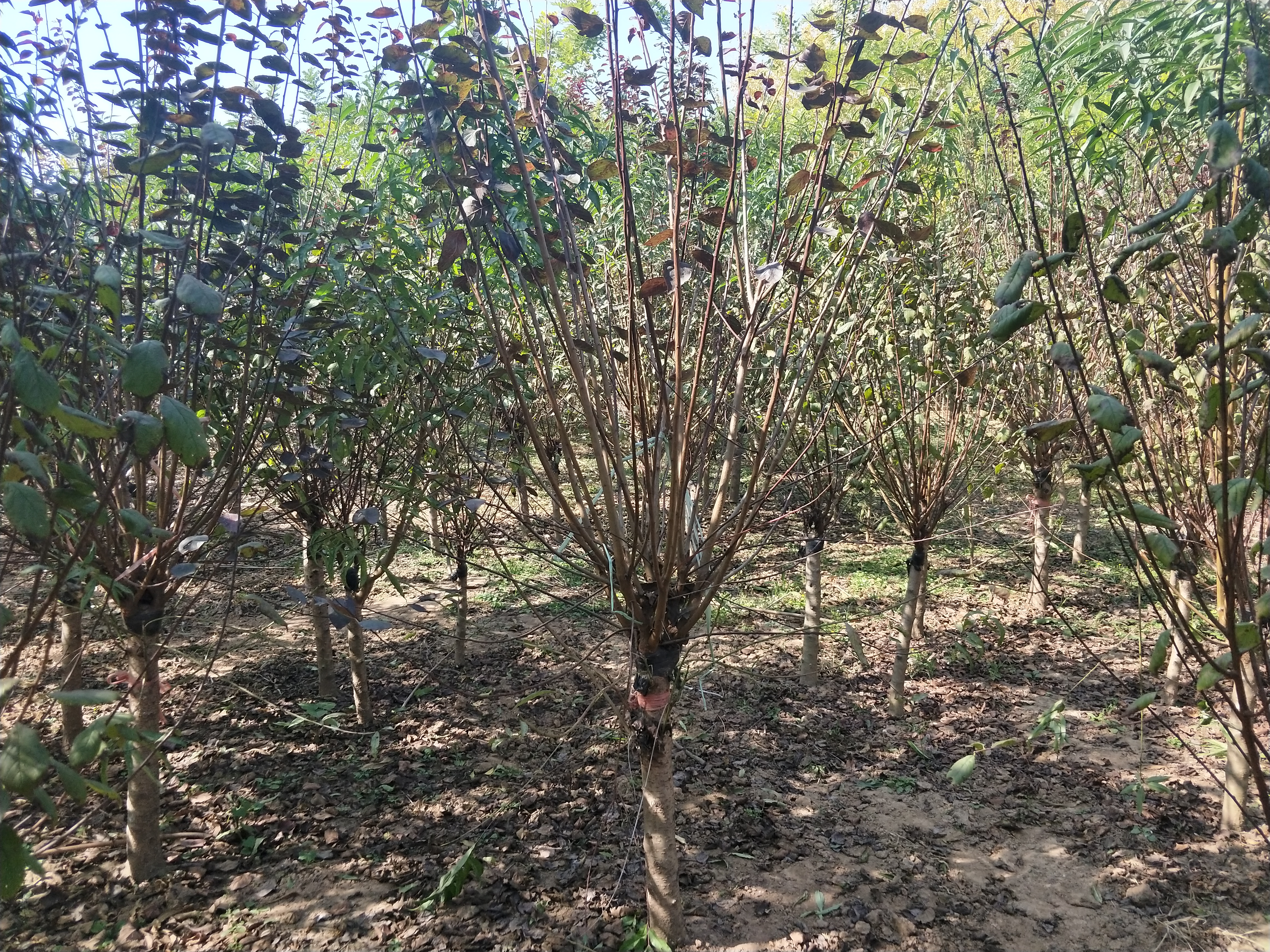IMG20181019130223.jpg