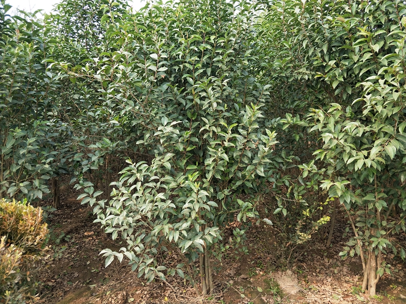 IMG20181017101454.jpg
