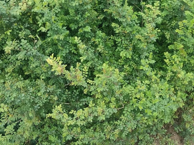 IMG20230421172743.jpg