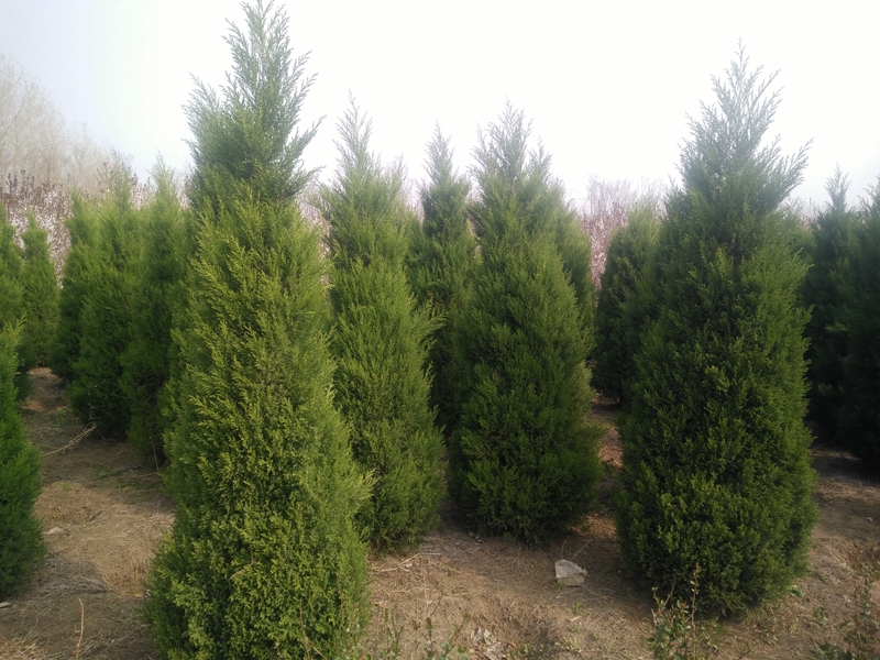 IMG20180330085754.jpg