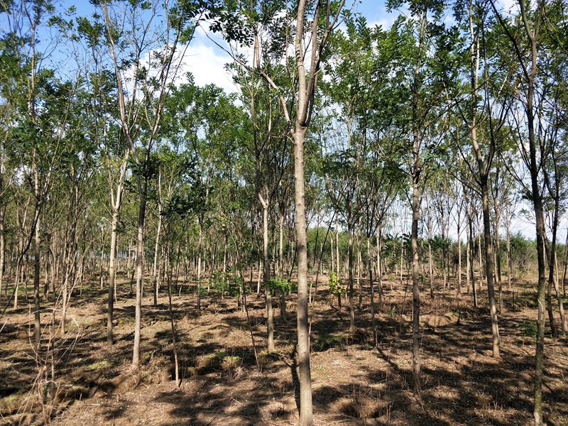 IMG20180927135132.jpg