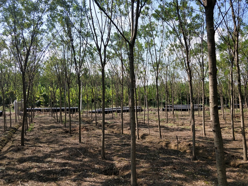 IMG20180927135124.jpg