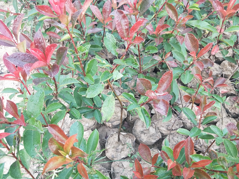 IMG20181007062545.jpg