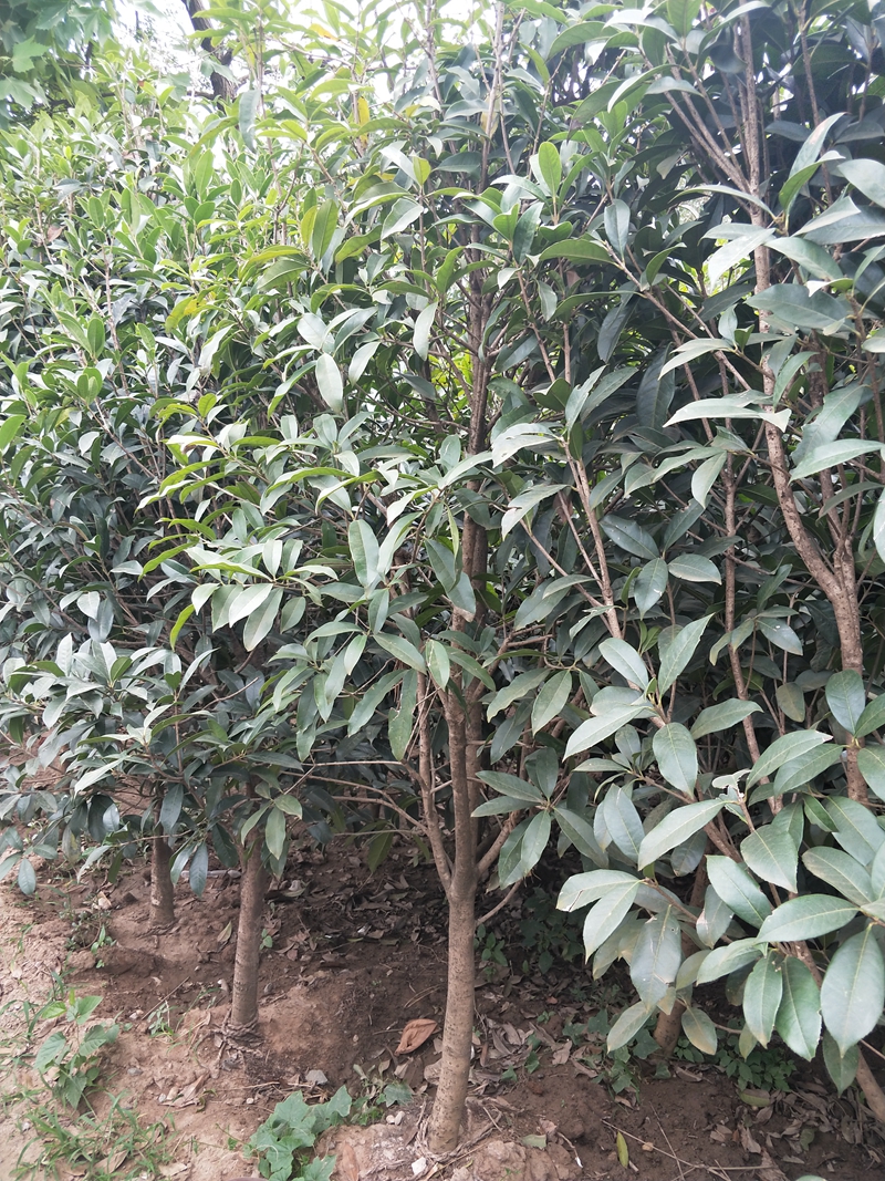 IMG20180913153918.jpg