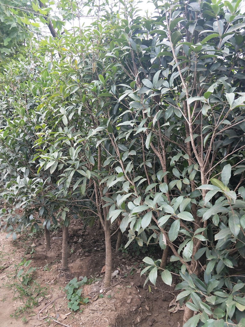 IMG20180913153925.jpg