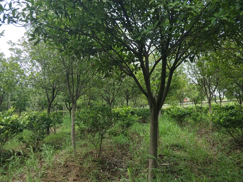 IMG20180712131429.jpg