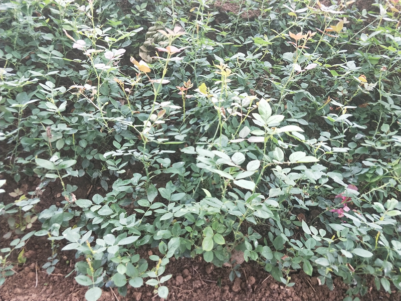 IMG20180703120306.jpg