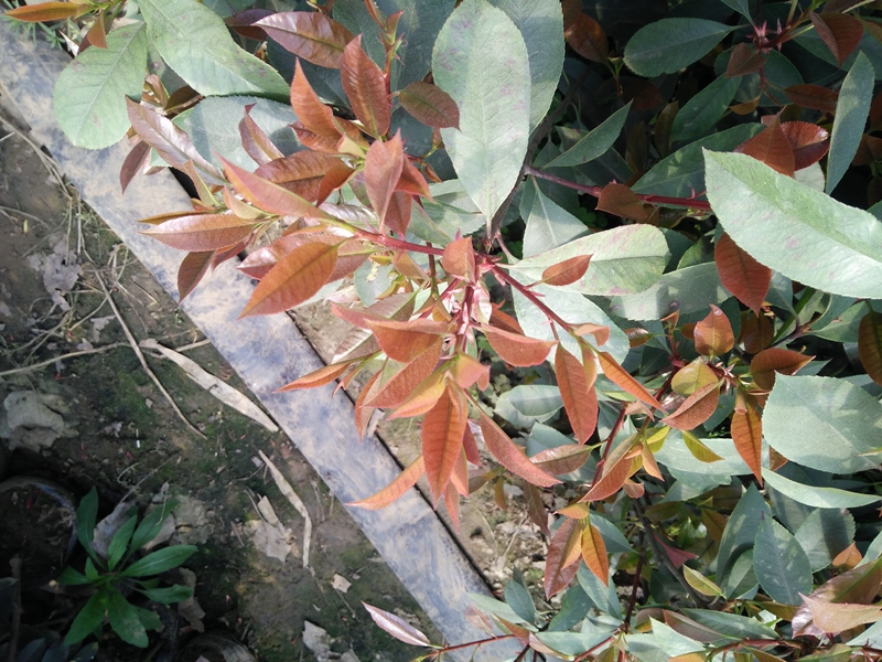 IMG20180327091419.jpg