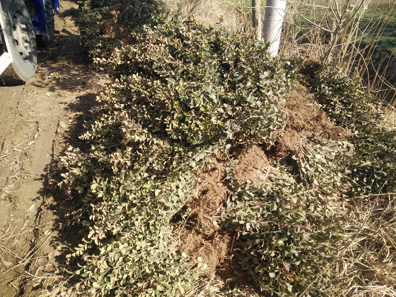 IMG20180316145319.jpg