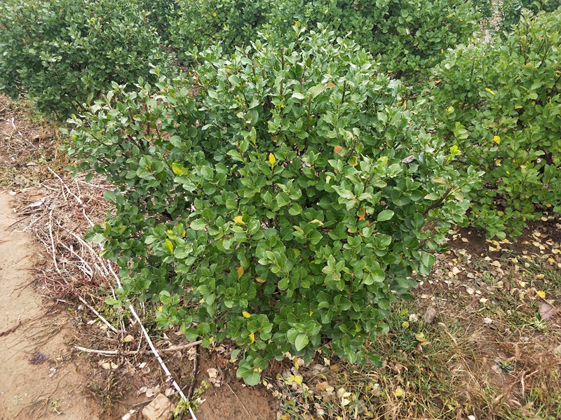 IMG20181112090214.jpg