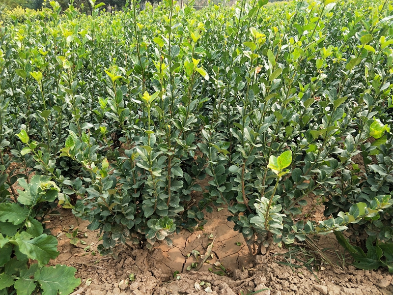 IMG20181017100529.jpg