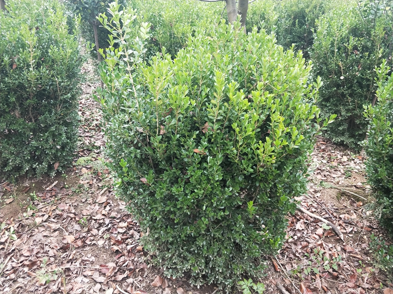 IMG20181014163655.jpg