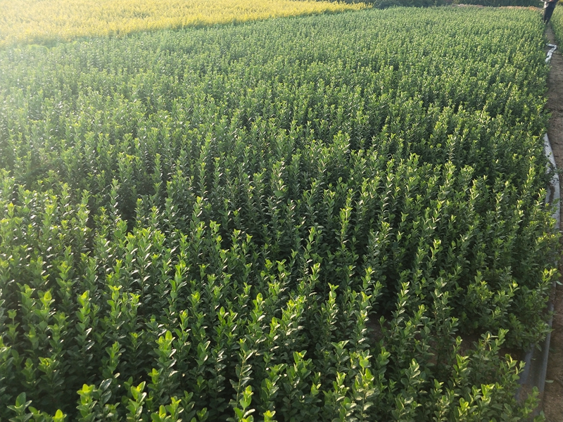 IMG20181019071214.jpg