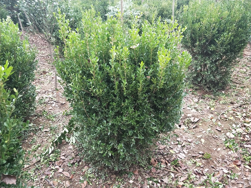 IMG20181014163634.jpg